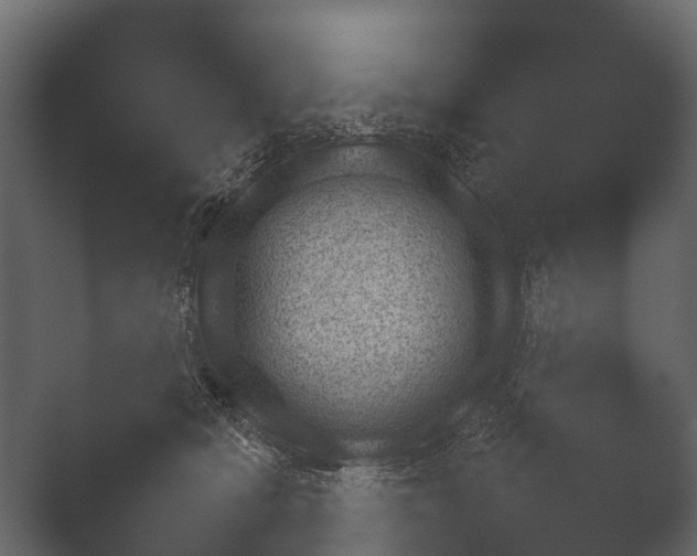 X0000050270418200506091343