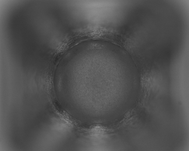 X0000050270460200506091342