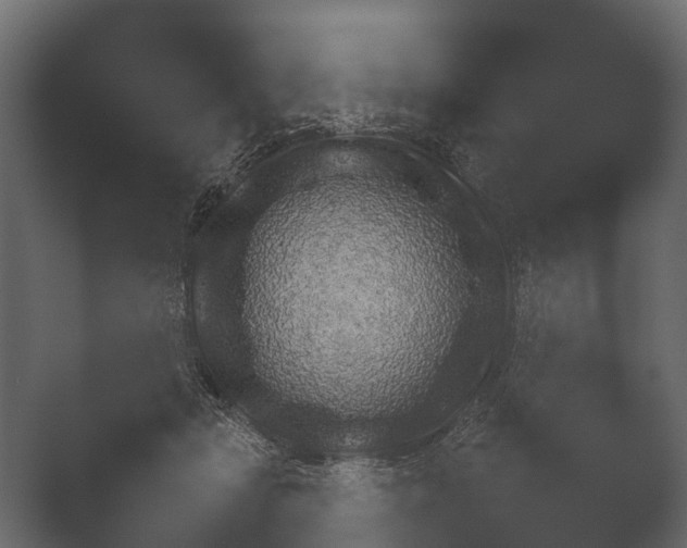 X0000050270461200506091342