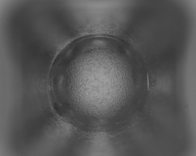 X0000050270483200506091342