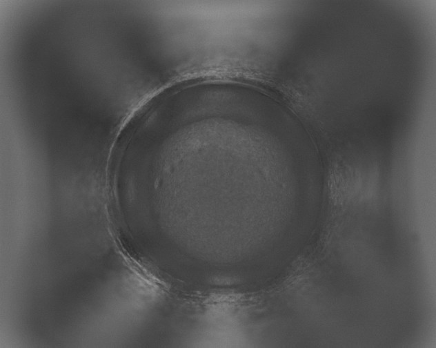 X0000050270484200506091342