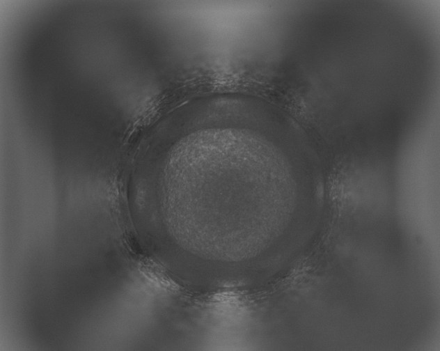 X0000050270516200506091341