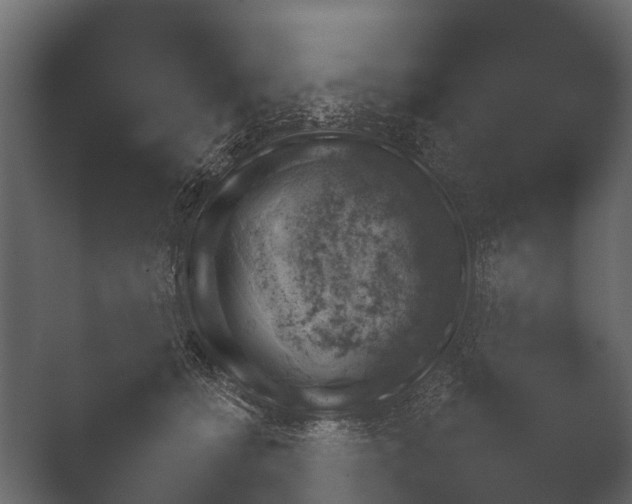 X0000050270558200506091341