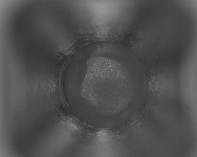 X0000050270566200506091341