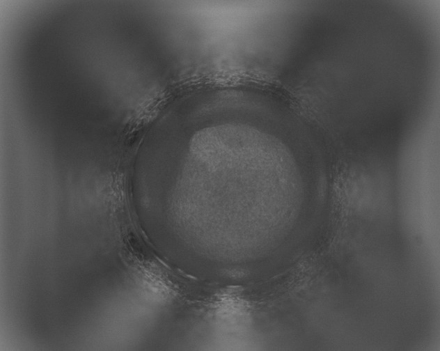 X0000050270601200506091340
