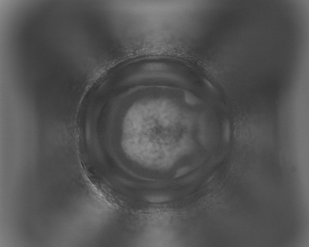 X0000050270626200506091339