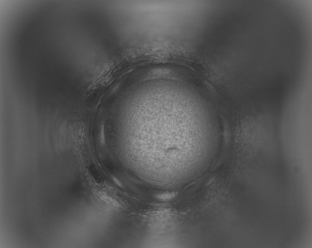 X0000050270646200506091339
