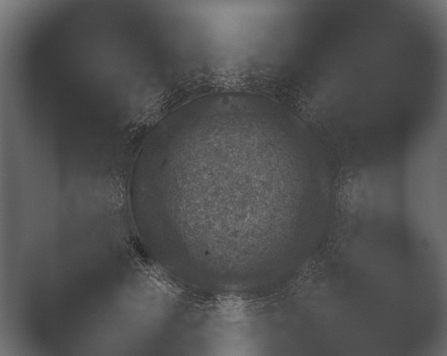 X0000050270658200506091339