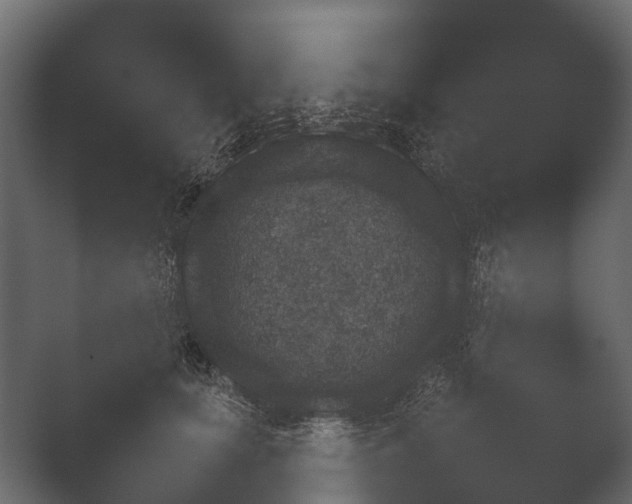 X0000050270659200506091339