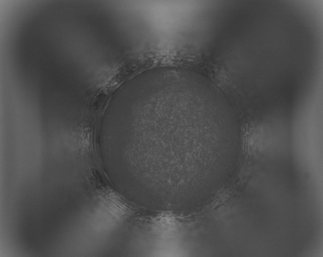 X0000050270661200506091339