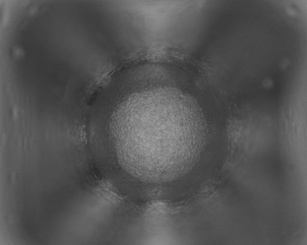 X0000050270669200506091339