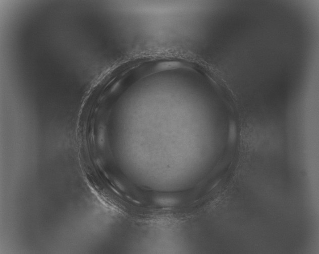 X0000050270674200506091338