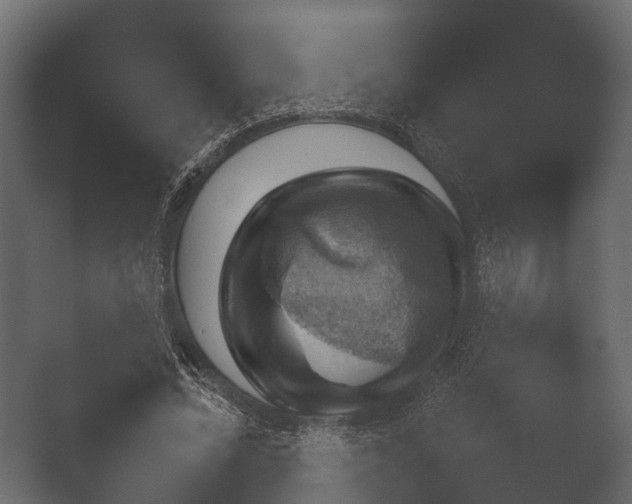 X0000050270684200506091338