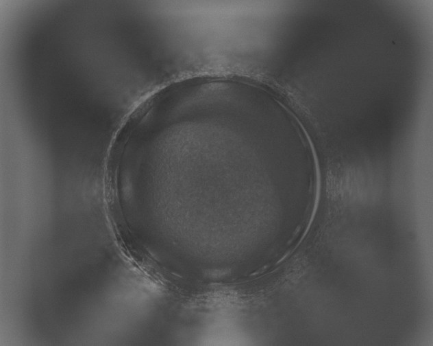 X0000050270724200506091337
