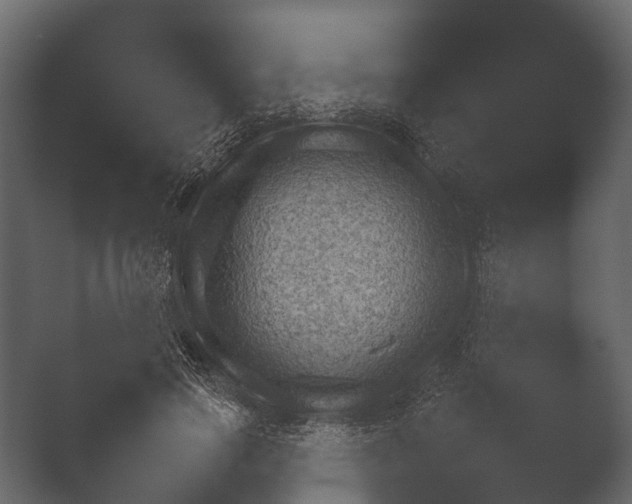 X0000050270741200506091337