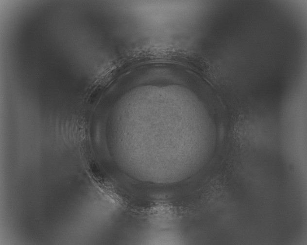 X0000050270744200506091337