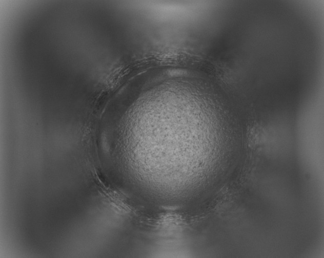 X0000050270753200506091337