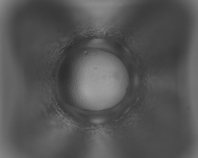 X0000050270769200506091337