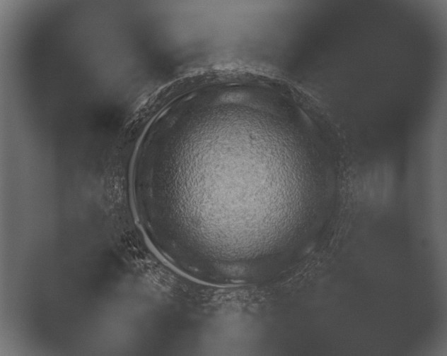 X0000050270776200506091337