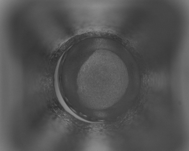 X0000050270822200506091335
