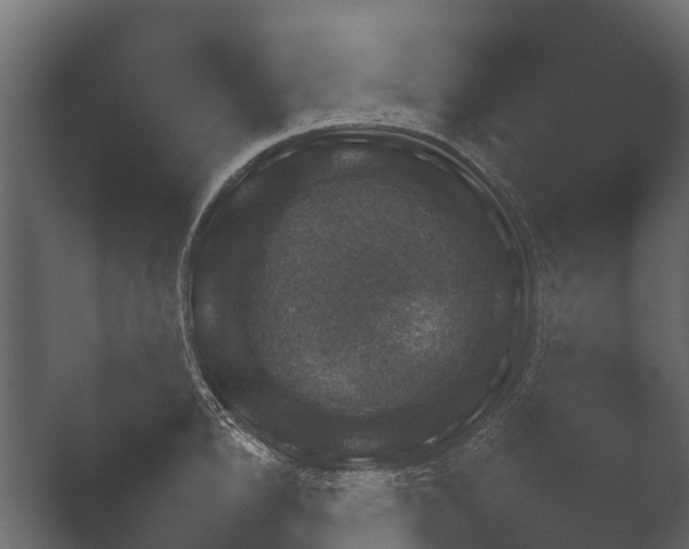 X0000050270854200506091336