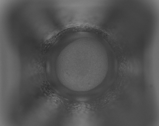 X0000050270869200506091335