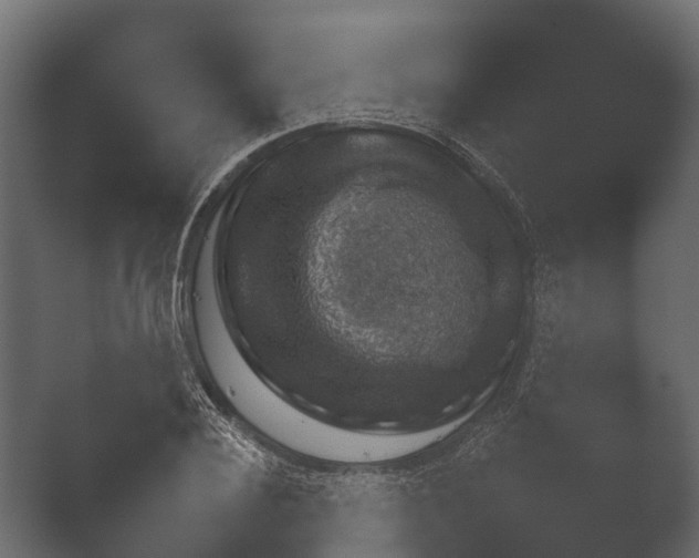 X0000050270932200506091334