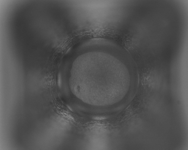 X0000050271010200506091332