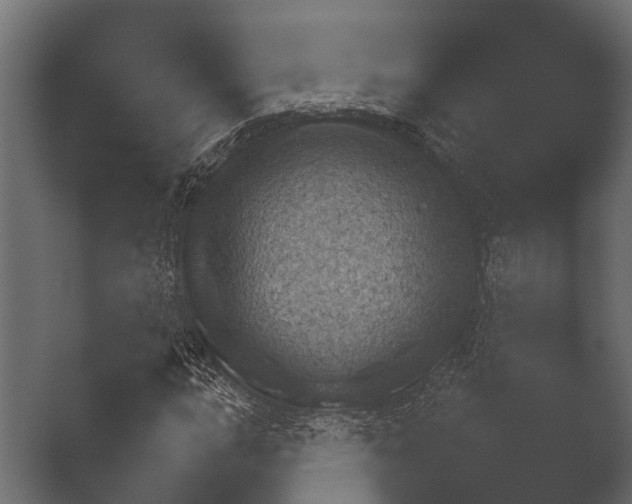 X0000050271015200506091332
