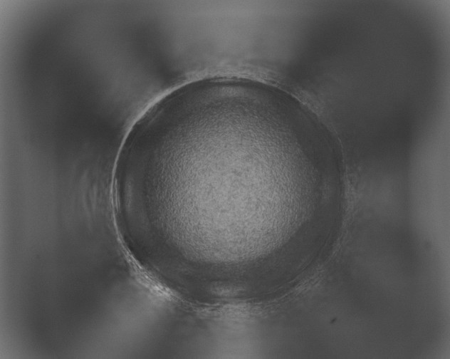 X0000050271028200506091332