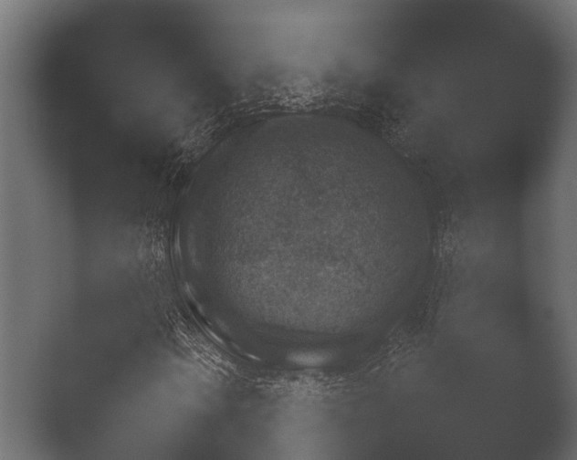 X0000050271106200506091330