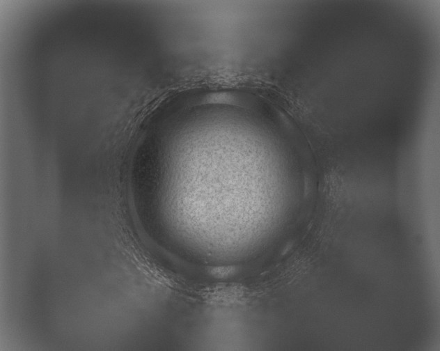 X0000050271201200506091329
