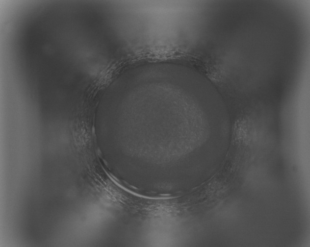 X0000050271202200506091329