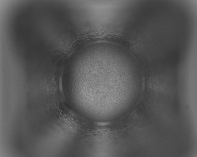 X0000050271346200506091327