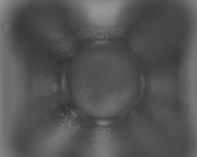 X0000050271394200506091325