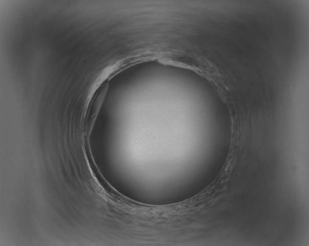 X0000050650003200506151622
