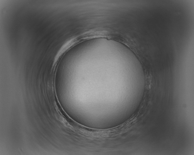 X0000050650004200506151622