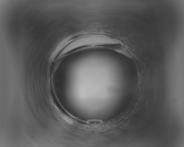 X0000050650005200506151622