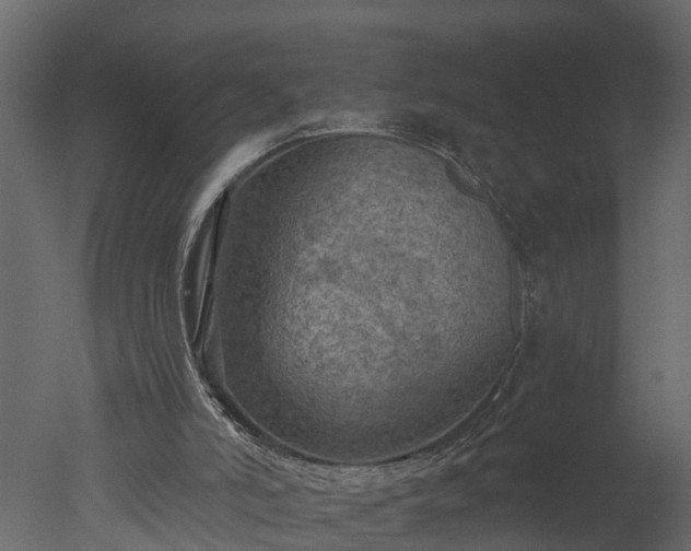 X0000050650006200506151622