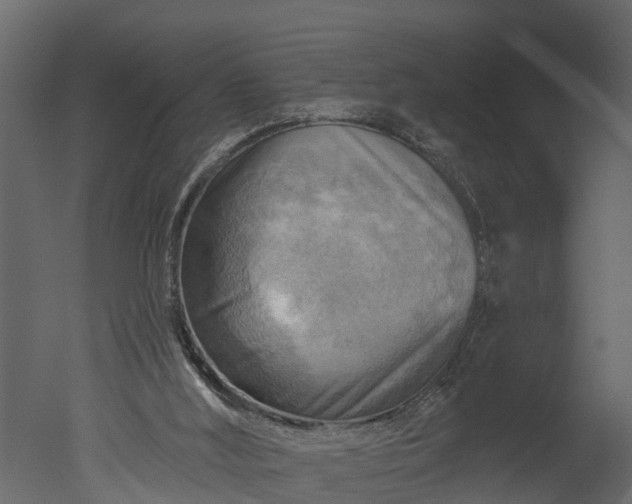 X0000050650012200506151622
