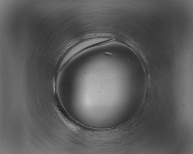X0000050650013200506151622
