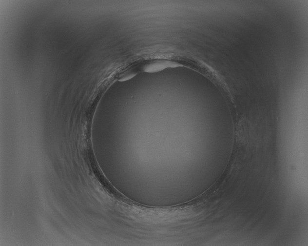 X0000050650018200506151622