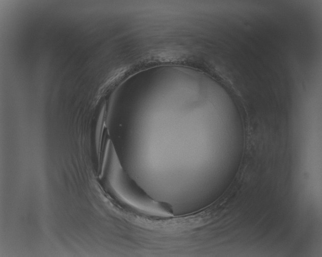 X0000050650019200506151622