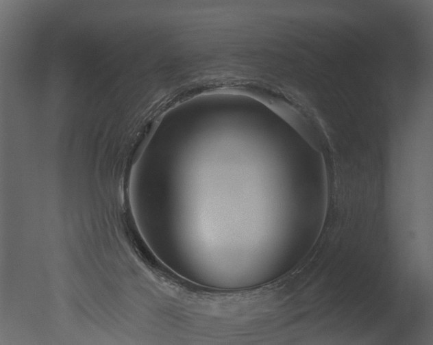 X0000050650021200506151622