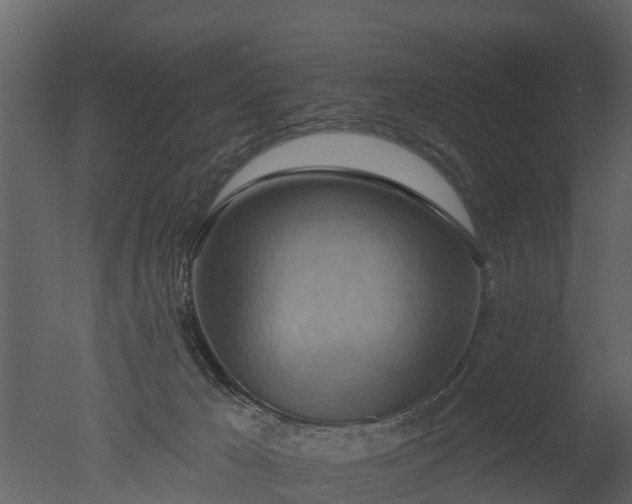 X0000050650029200506151622