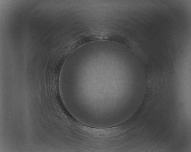X0000050650030200506151622