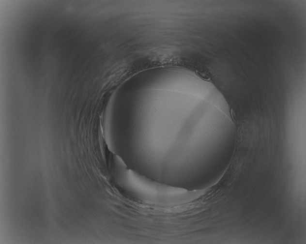 X0000050650039200506151621