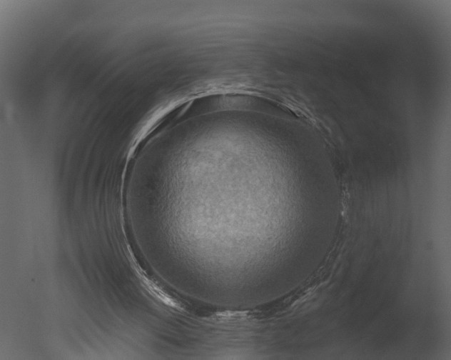 X0000050650052200506151621
