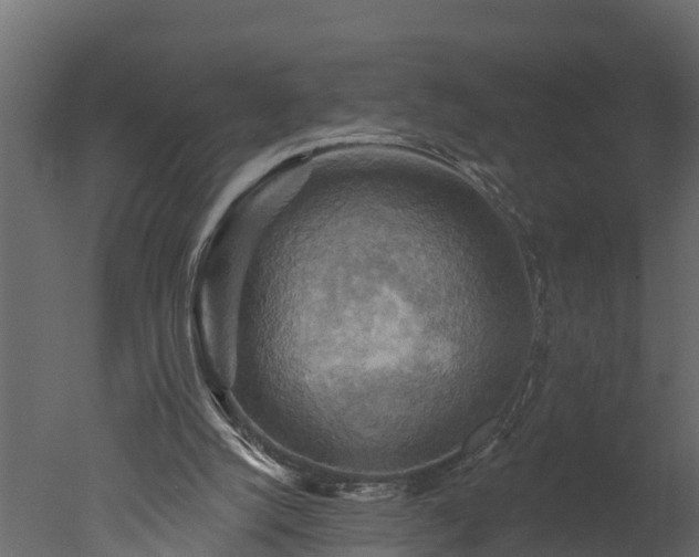 X0000050650056200506151621