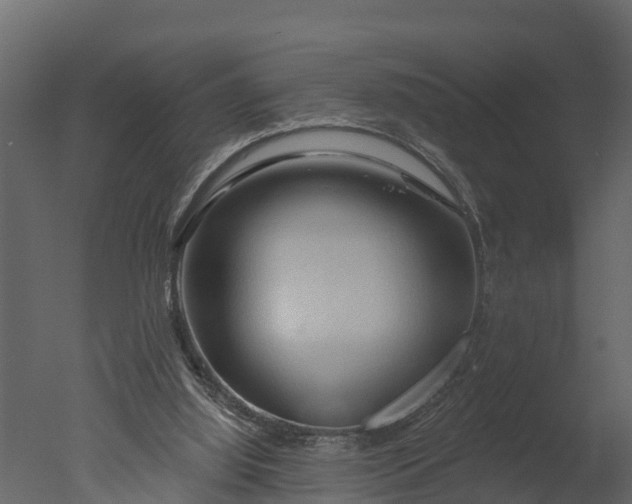 X0000050650060200506151621